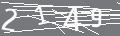 capsa
